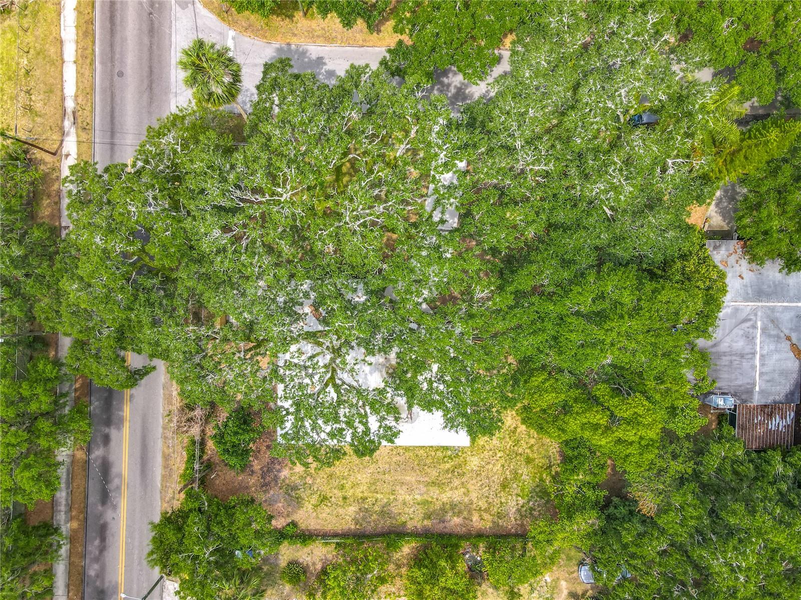 Listing photo id 54 for 6901 19th Street