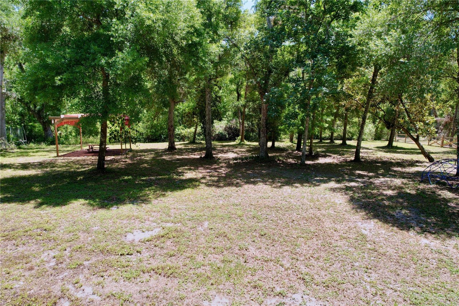 Listing photo id 61 for 16224 Iola Woods Trail
