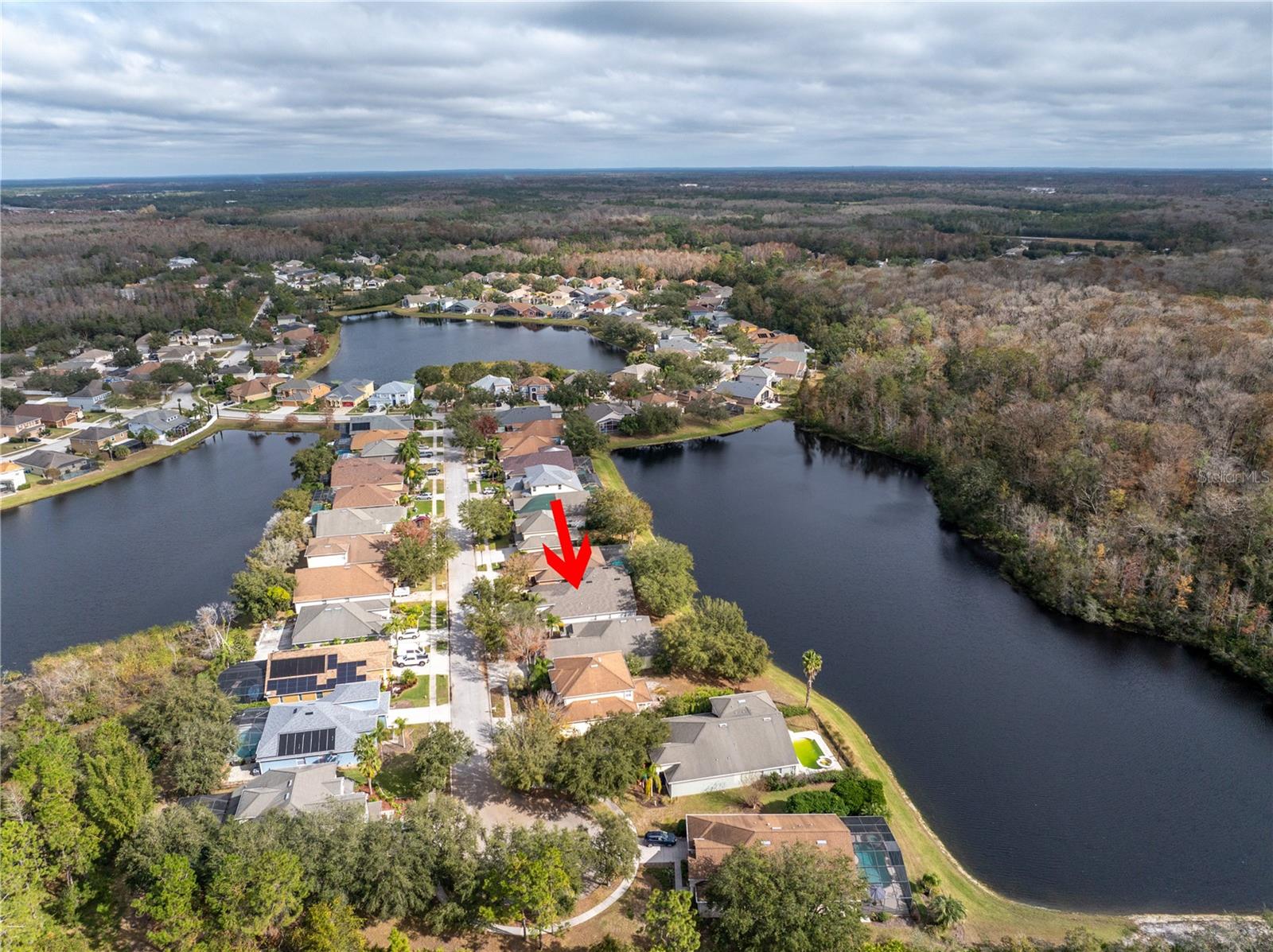 Details for 10506 Sky Flower Court, LAND O LAKES, FL 34638