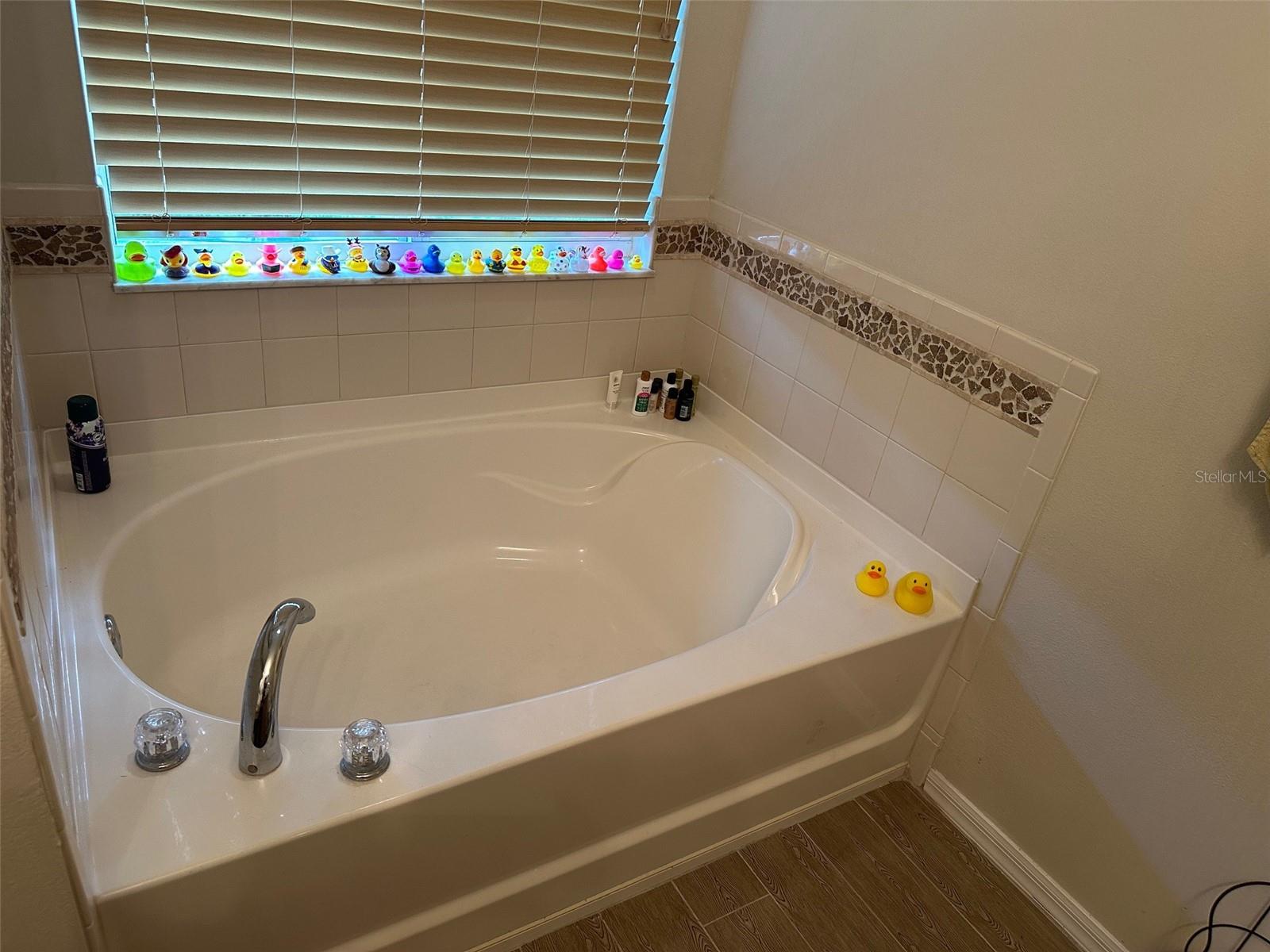 Image 16 of 24 For 3132 Royal Tuscan Lane