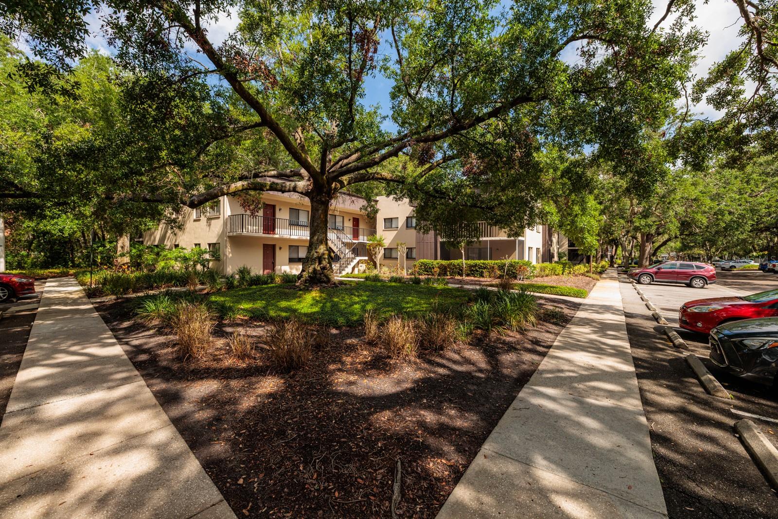 Image 3 of 24 For 11708 Raintree Village Boulevard A