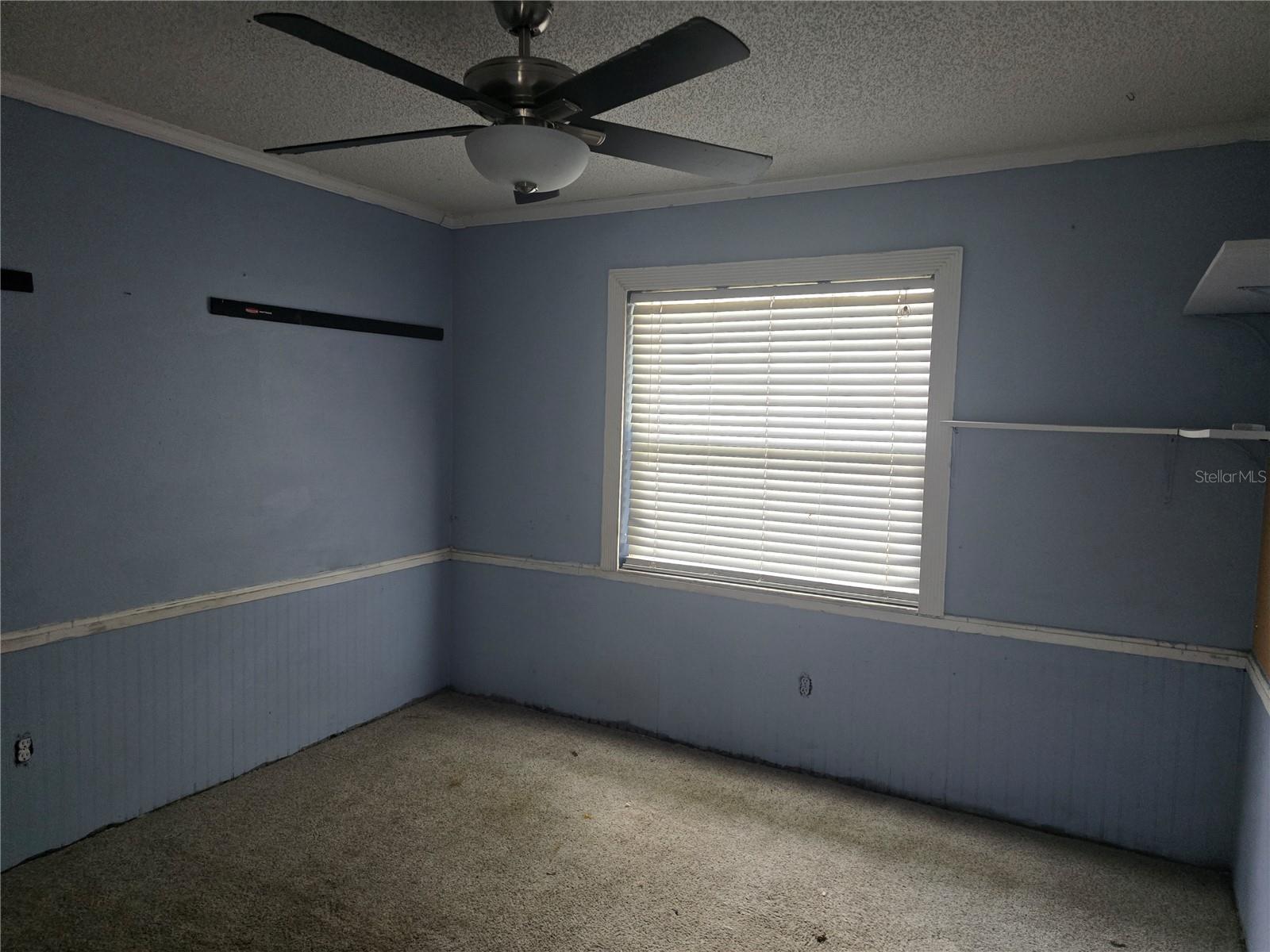 Listing photo id 6 for 23015 Mayfair Road