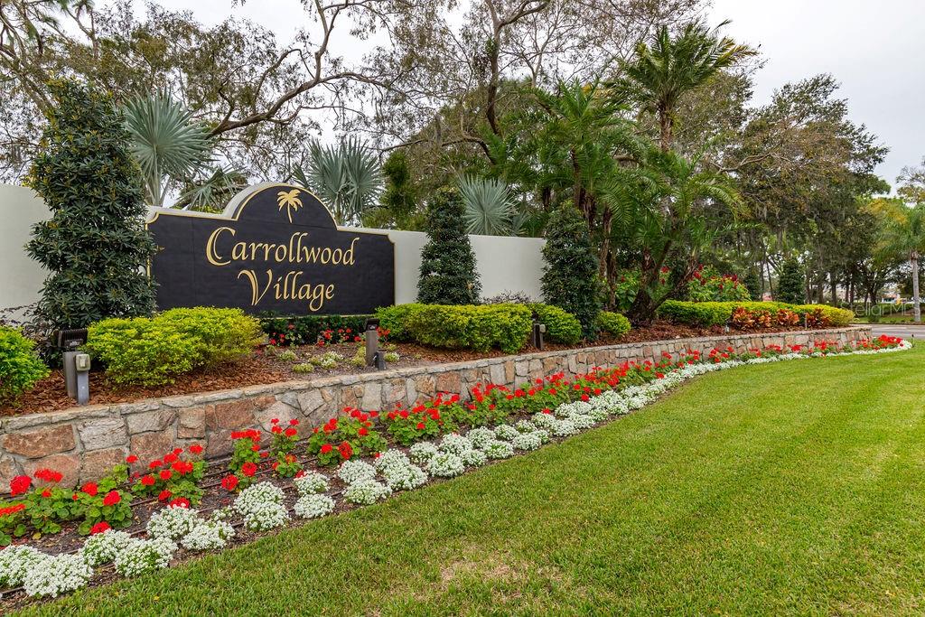 Image 48 of 49 For 13608 Village Drive 6203