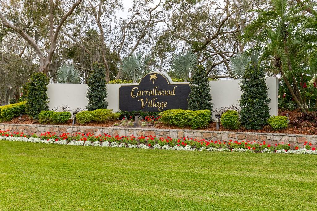 Image 49 of 49 For 13608 Village Drive 6203