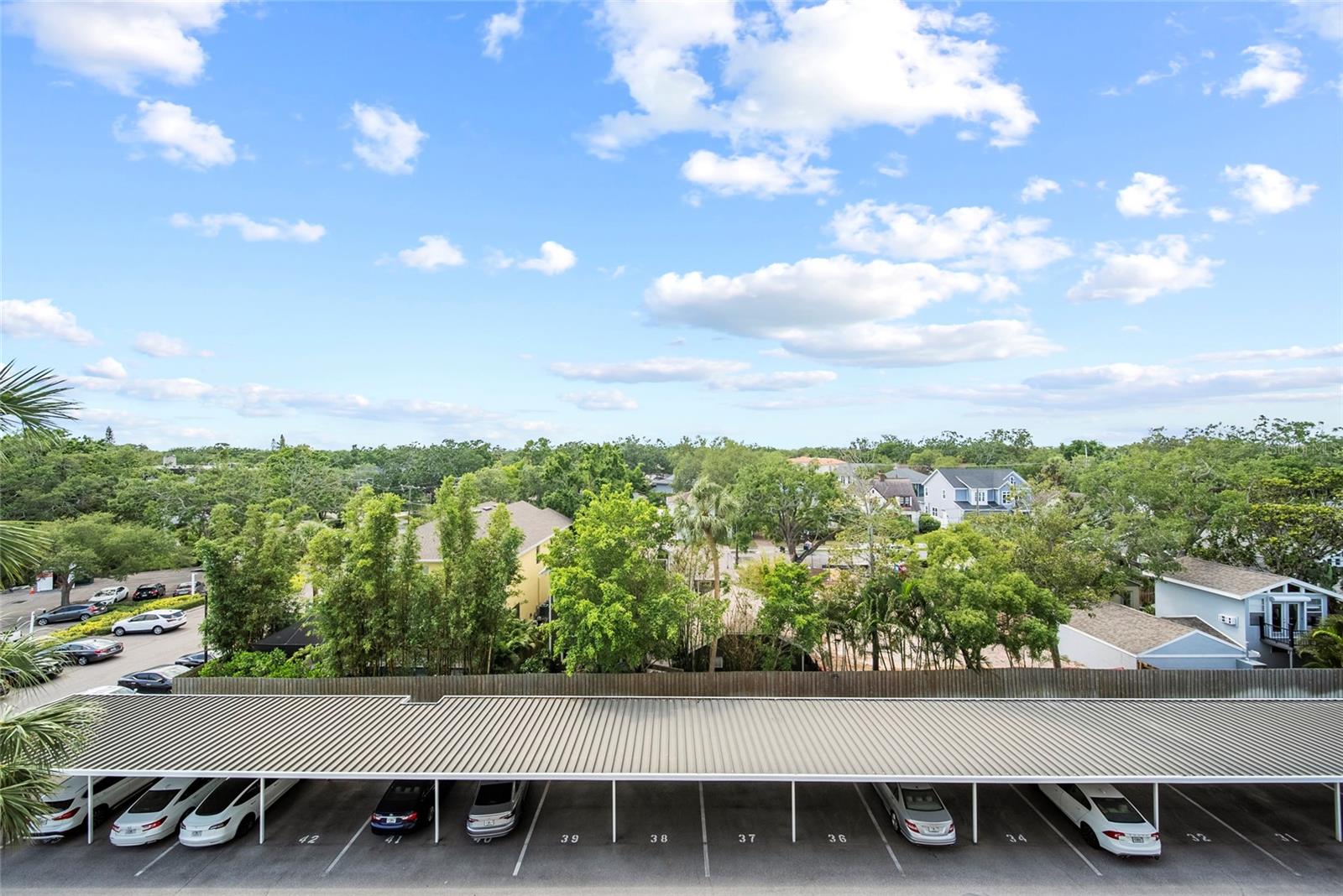 Image 37 of 39 For 2611 Bayshore Boulevard 504