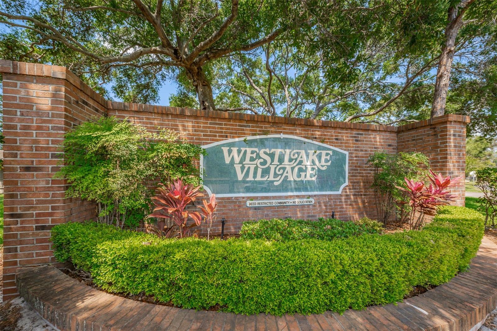 Image 57 of 67 For 833 Lakeside Terrace
