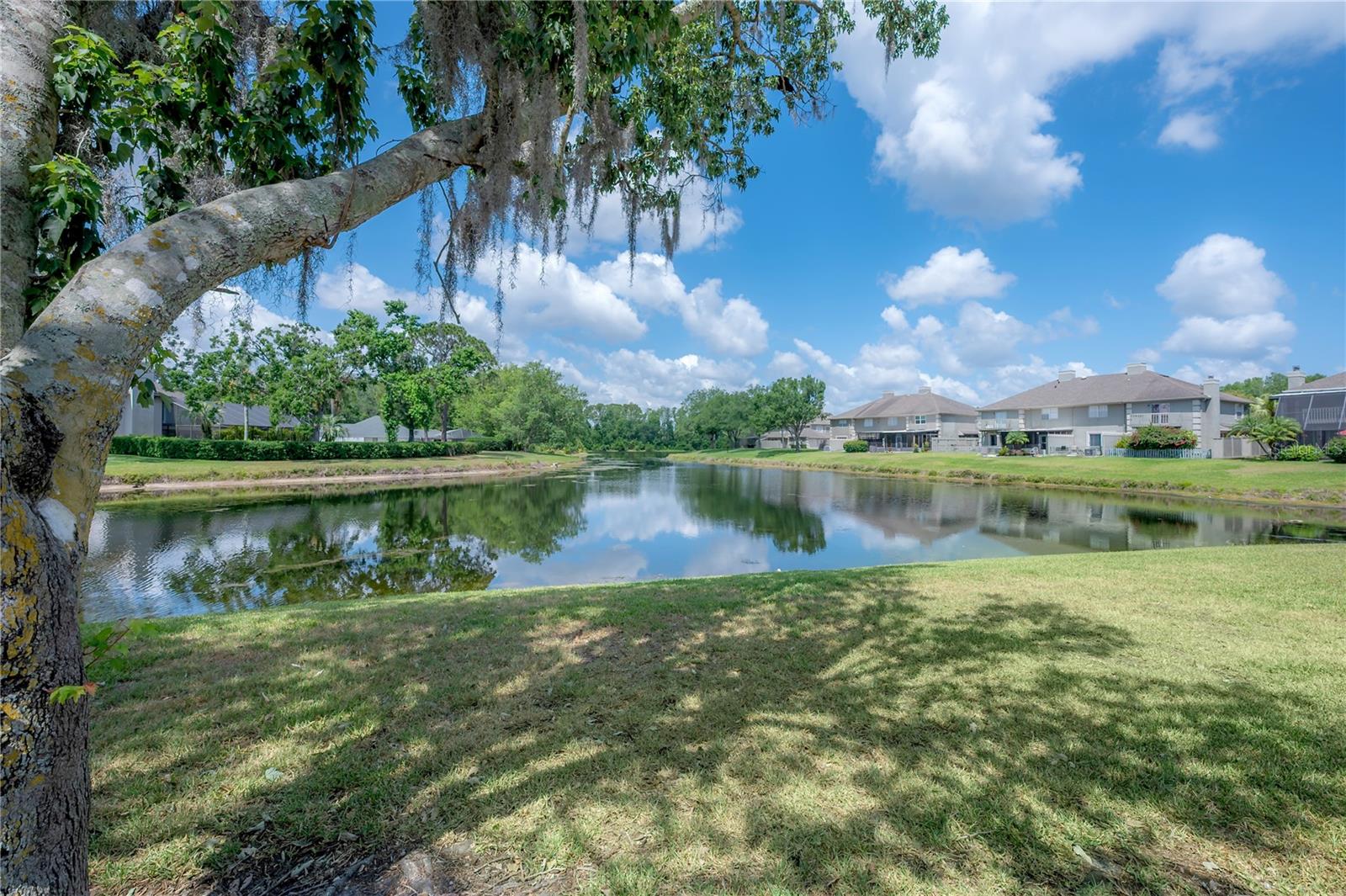 Listing photo id 57 for 13906 Captains Reef Court