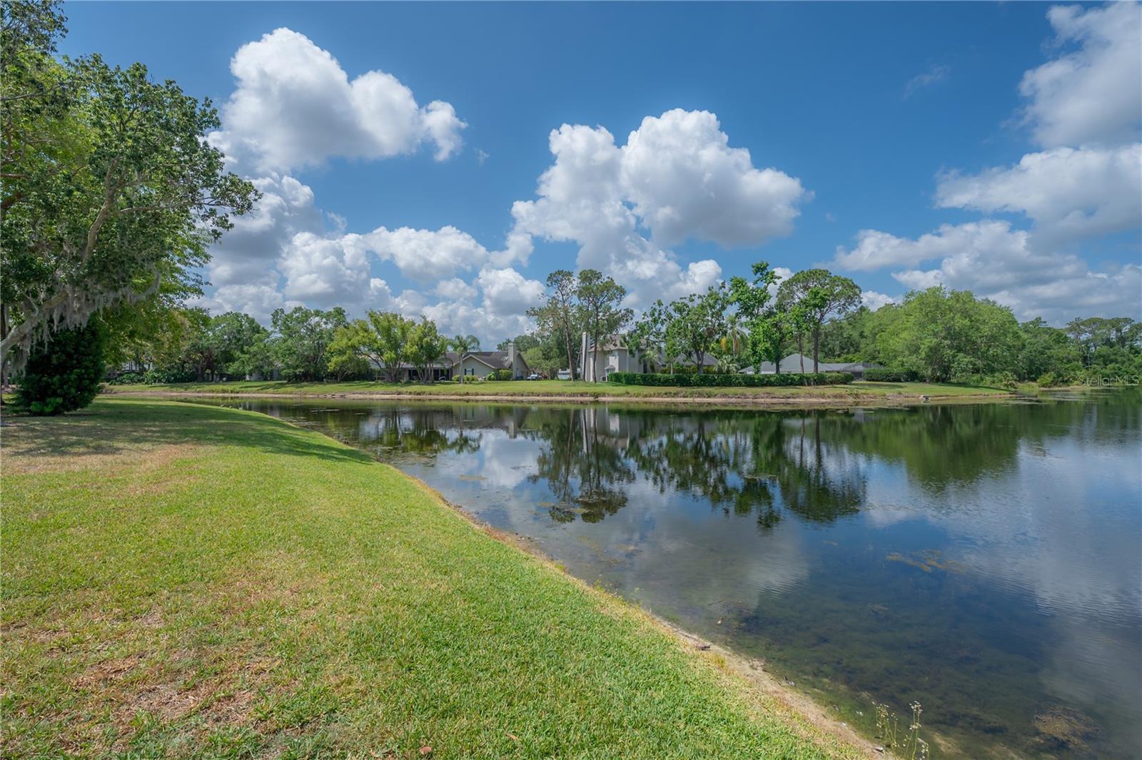 Listing photo id 66 for 13906 Captains Reef Court