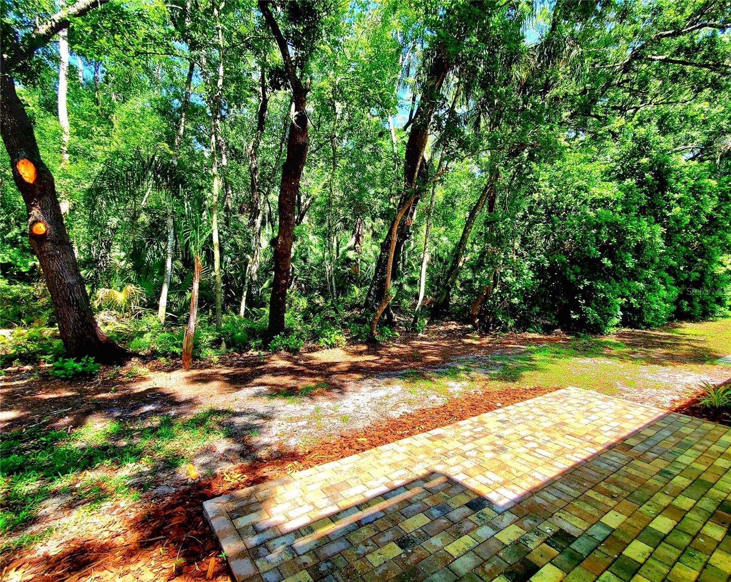 Image 12 of 54 For 3529 Tanglewood Trail