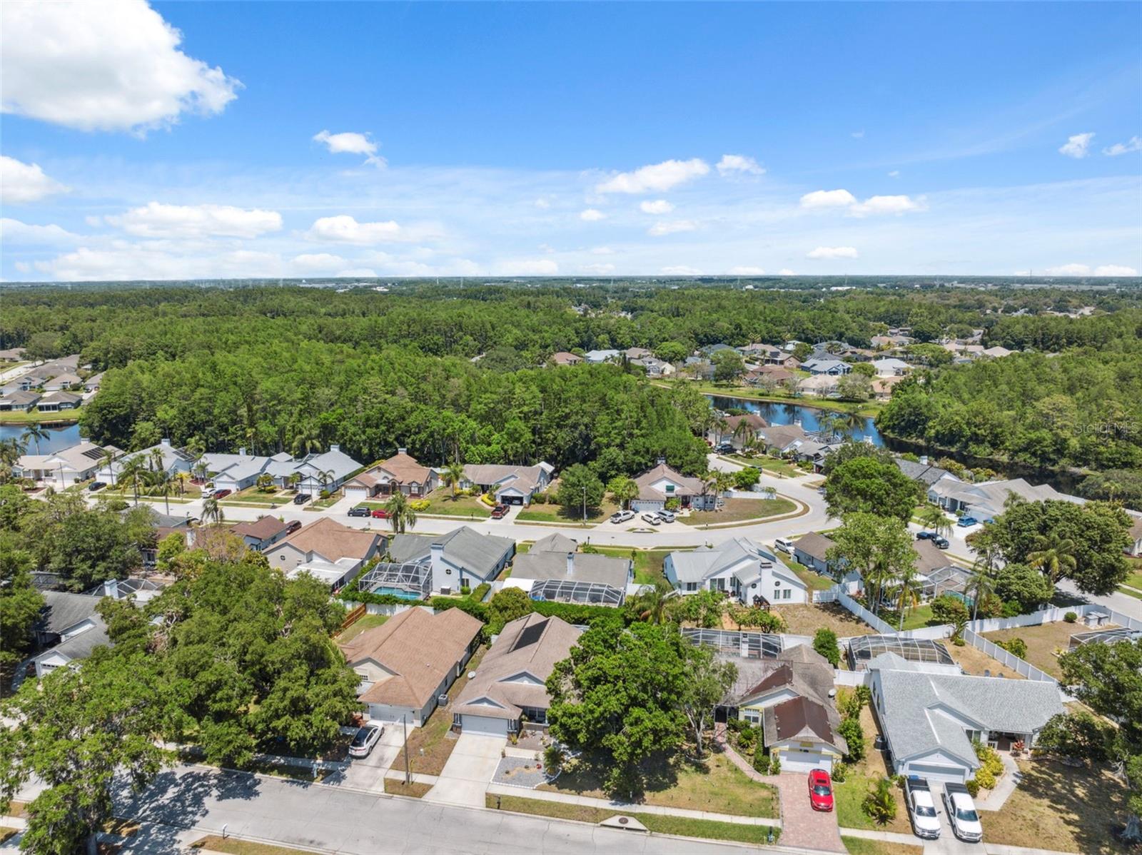 Image 47 of 57 For 7903 Lake Placid Lane