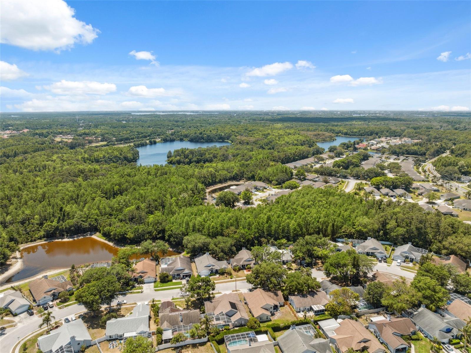 Image 51 of 57 For 7903 Lake Placid Lane