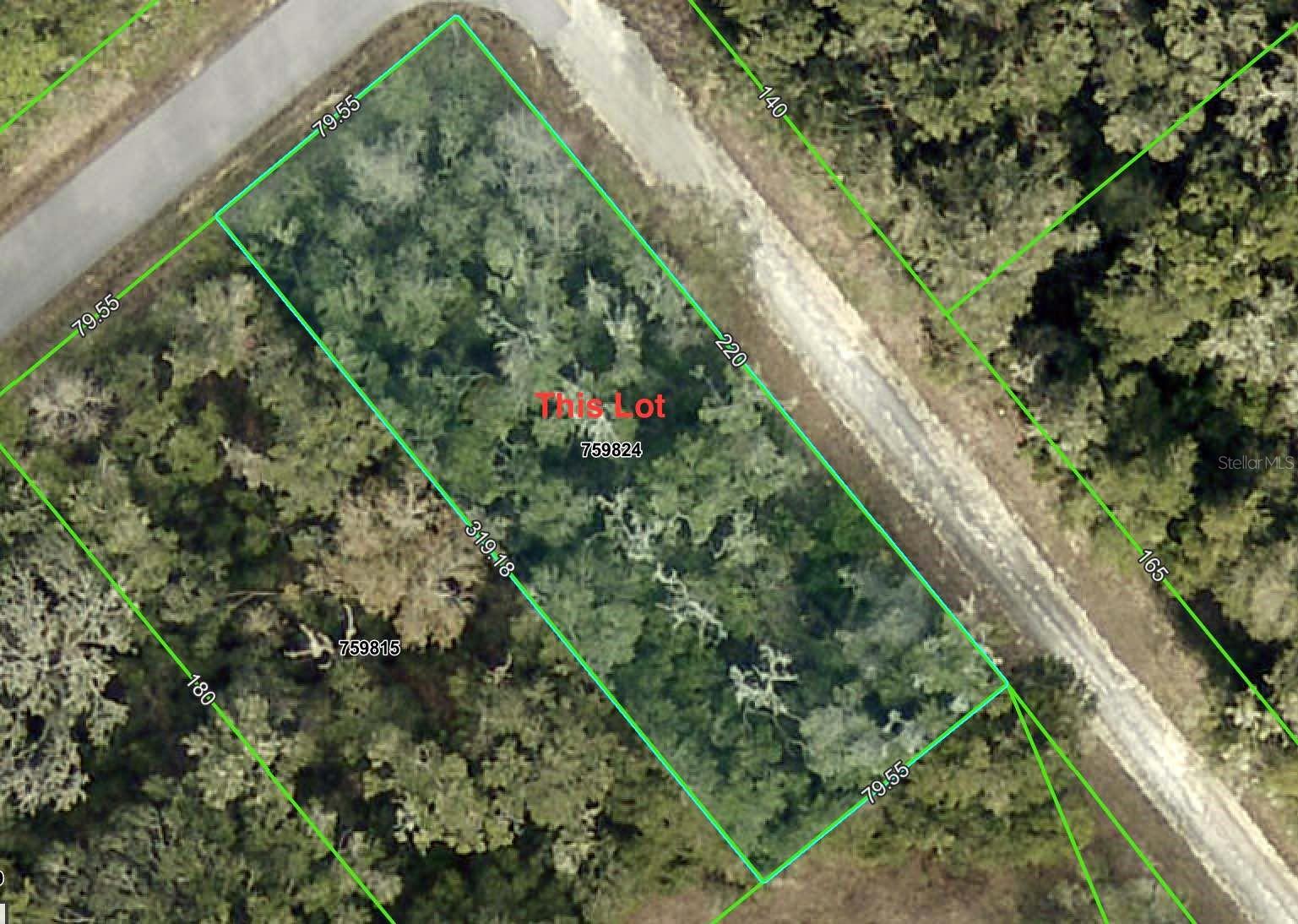 Listing Details for Smallman Street, WEBSTER, FL 33597