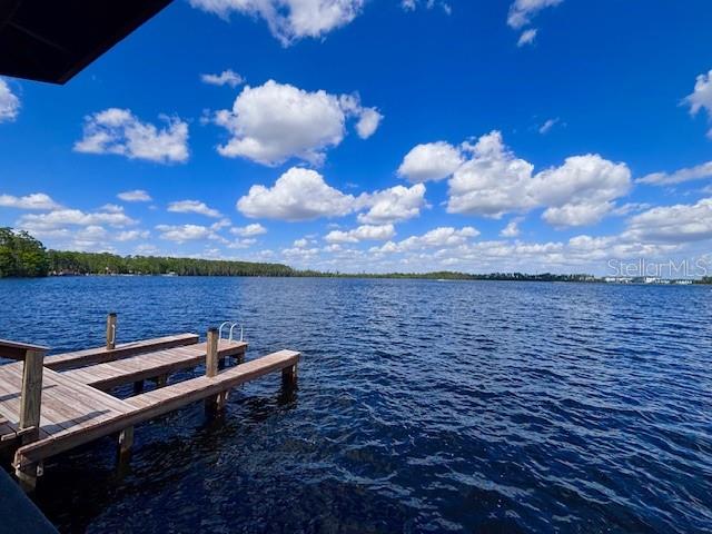 Image 76 of 98 For 13415 Blue Heron Beach Drive 1006