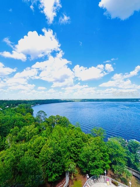 Image 9 of 98 For 13415 Blue Heron Beach Drive 1006