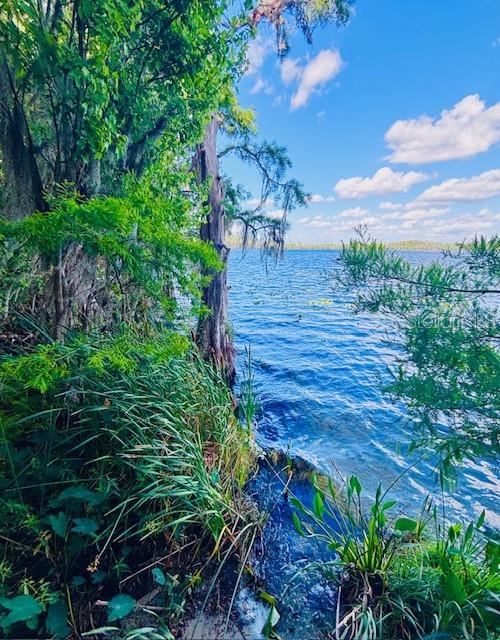 Image 96 of 98 For 13415 Blue Heron Beach Drive 1006