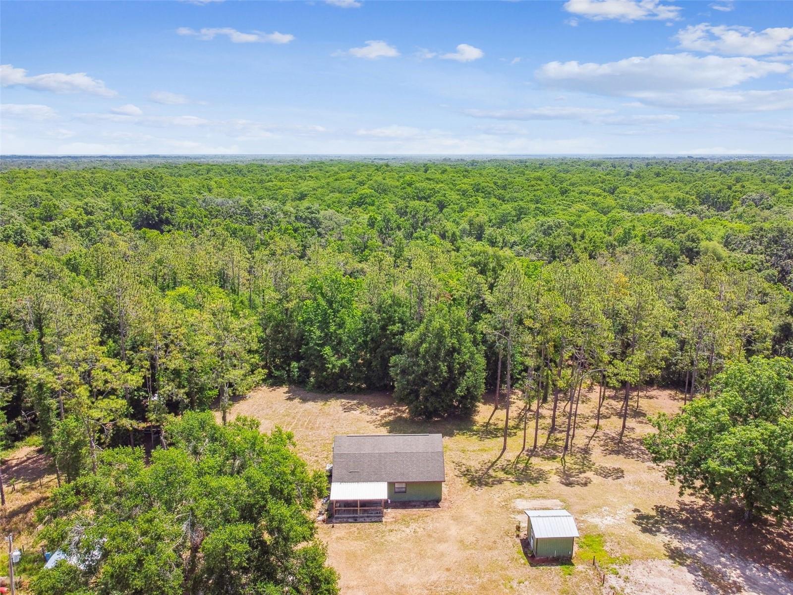 Listing photo id 77 for 19708 Bower Road