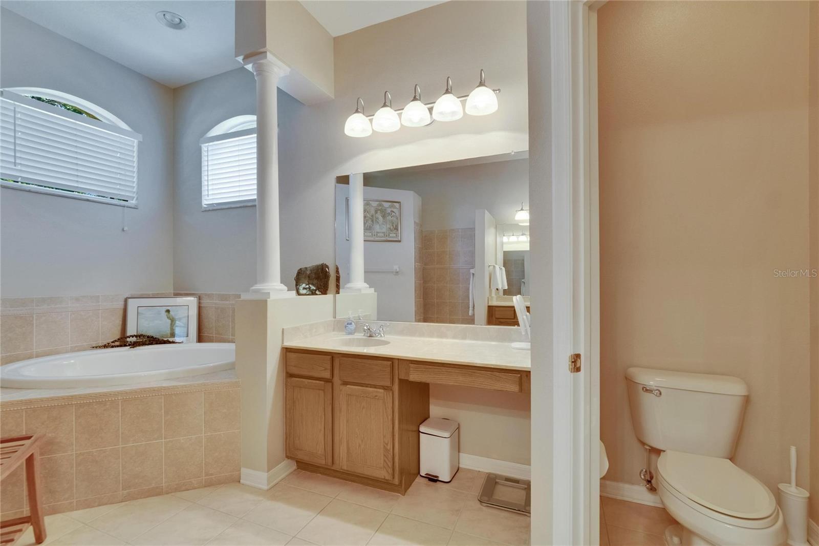 Image 29 of 73 For 15724 Ibisridge Drive