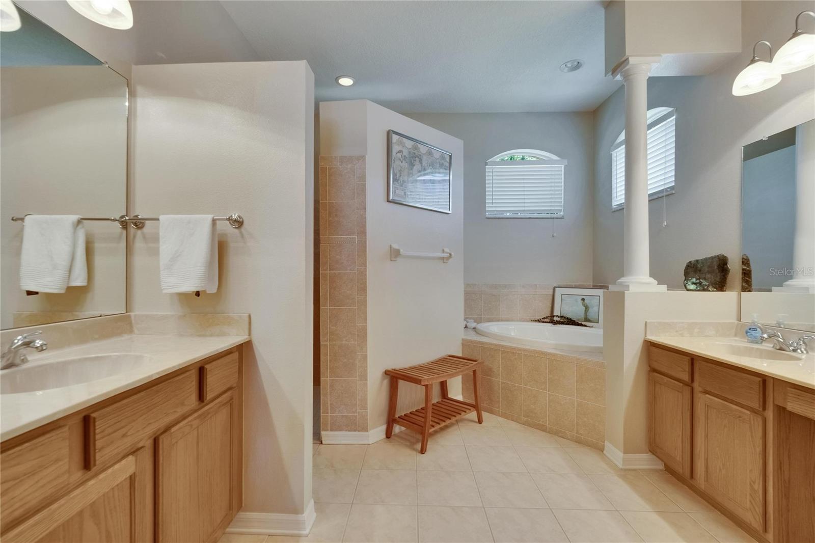 Image 30 of 73 For 15724 Ibisridge Drive