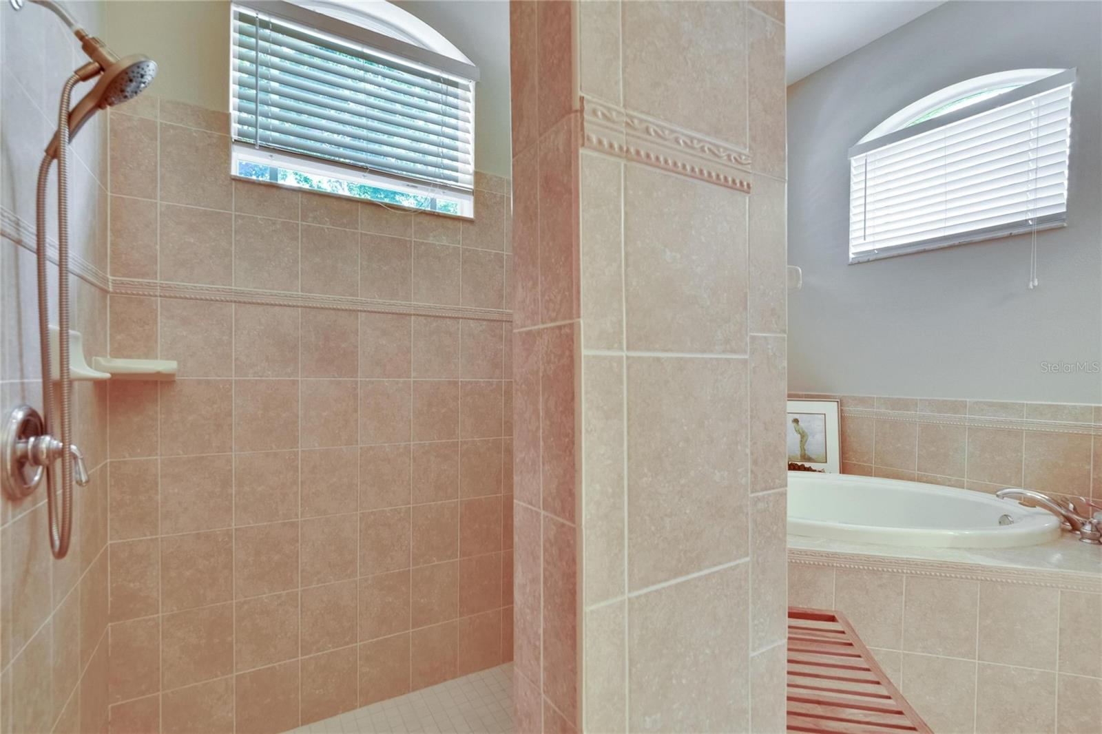 Image 31 of 73 For 15724 Ibisridge Drive