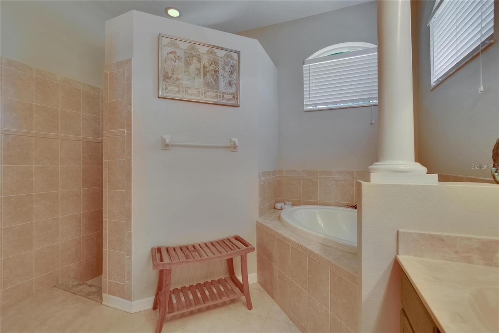 Image 32 of 73 For 15724 Ibisridge Drive