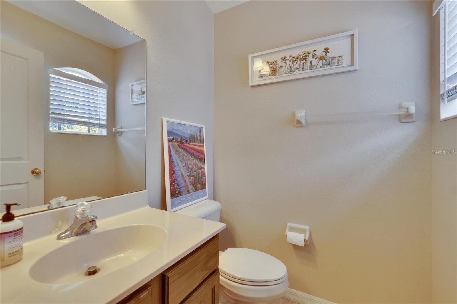 Image 35 of 73 For 15724 Ibisridge Drive