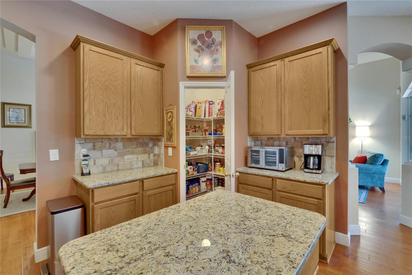 Image 65 of 73 For 15724 Ibisridge Drive