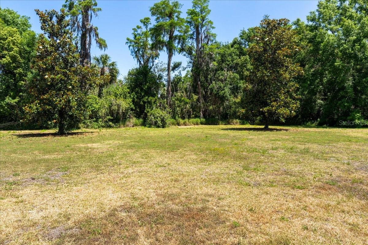 Image 58 of 61 For 16637 Ashton Green Dr