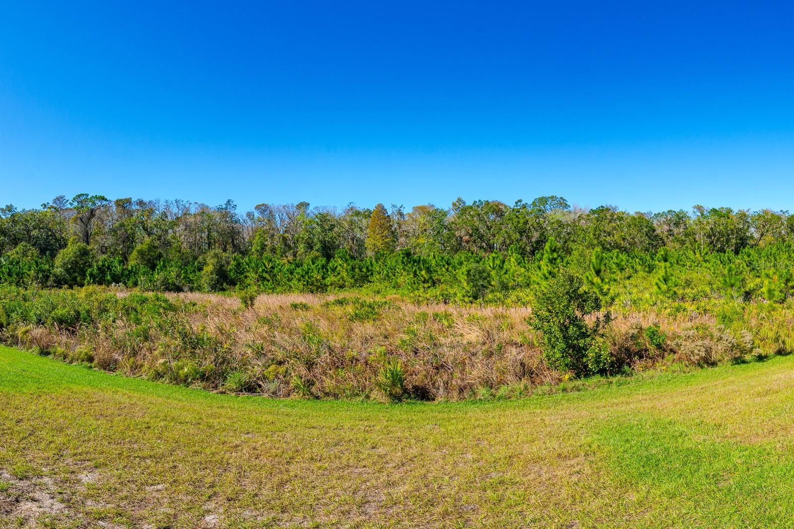 Image 42 of 44 For 16819 Shell Bay Drive