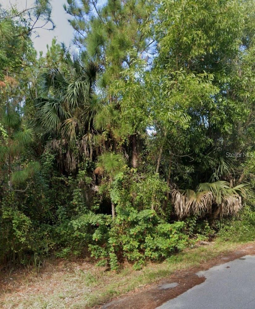 Image 3 of 8 For 12339 Cognac Drive