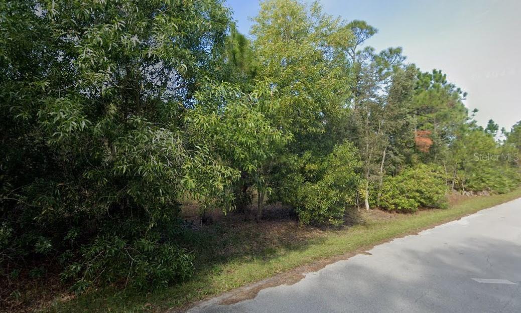 Image 4 of 8 For 12339 Cognac Drive