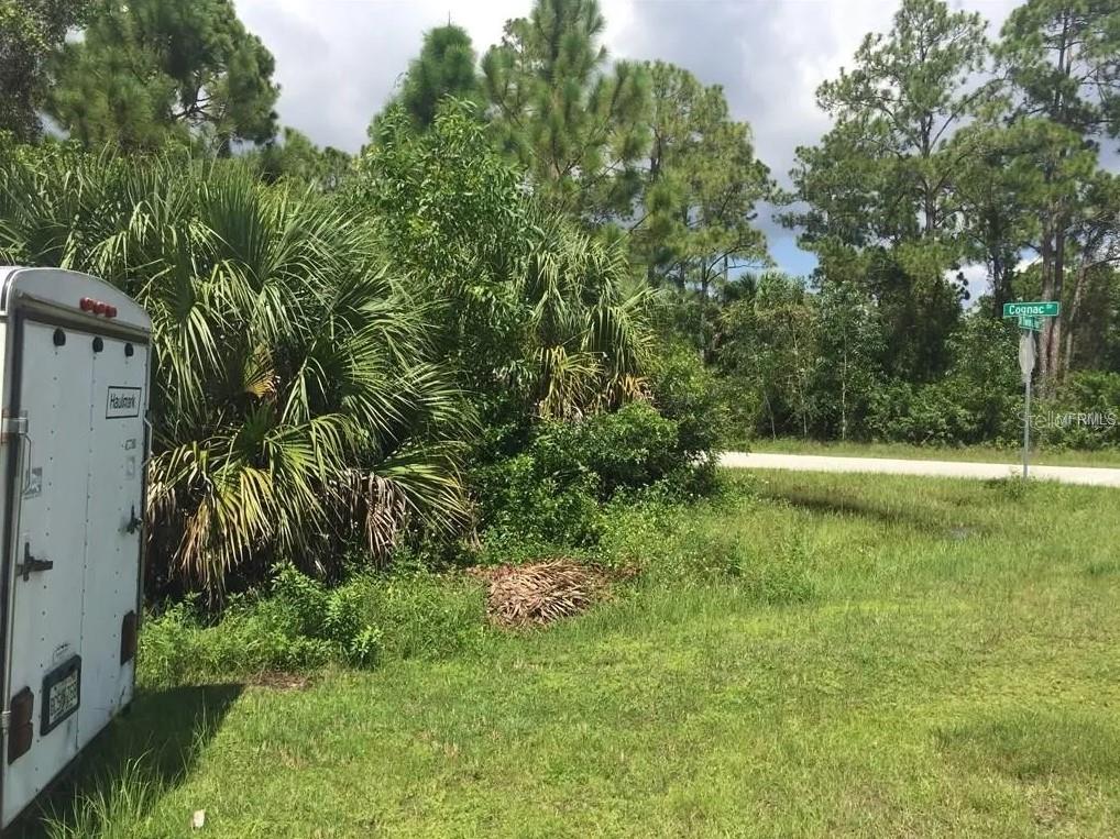 Image 6 of 8 For 12339 Cognac Drive