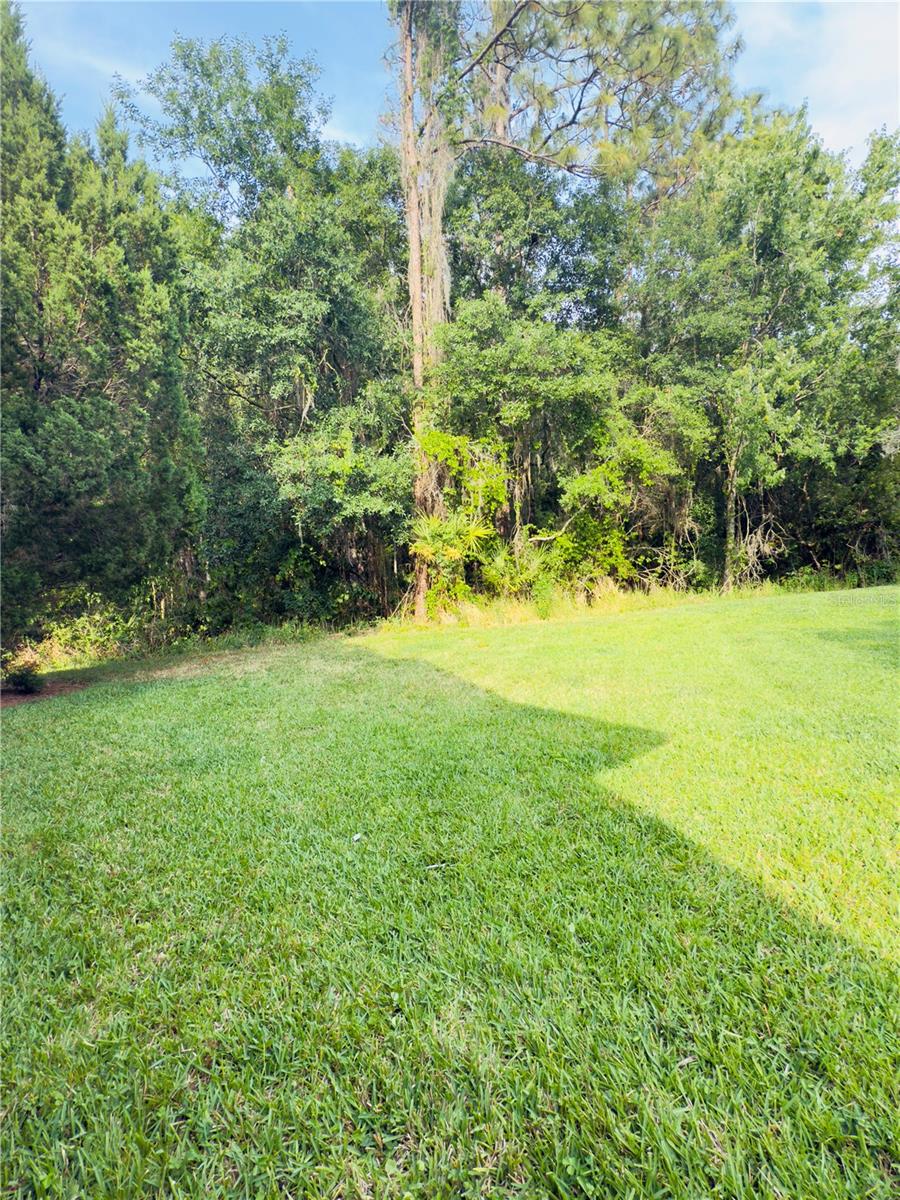 Image 32 of 35 For 20221 Vintage Oaks Place