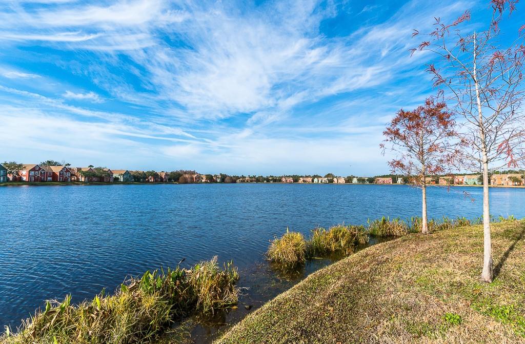 Image 30 of 35 For 9414 Lake Chase Island Way 9414