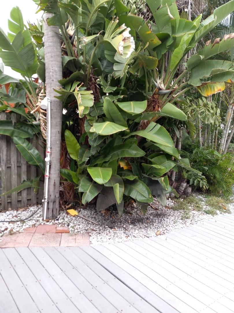 Image 4 of 6 For 14555 Bayshore Drive