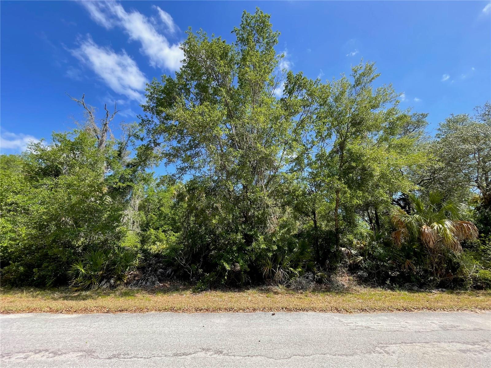 Details for 12399 Baltic Ivy Street, CRYSTAL RIVER, FL 34428