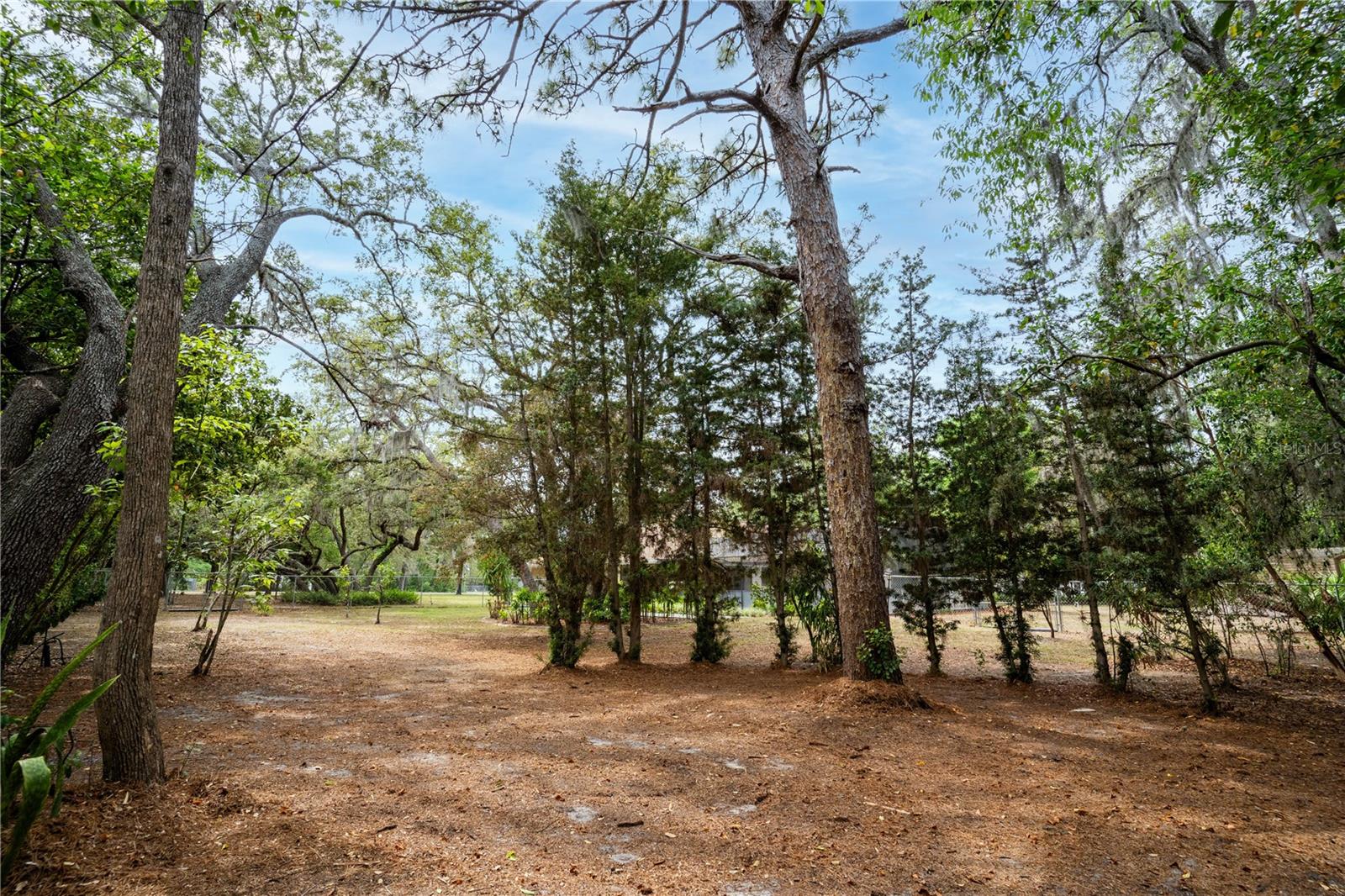 Listing photo id 44 for 18546 Kelly Road