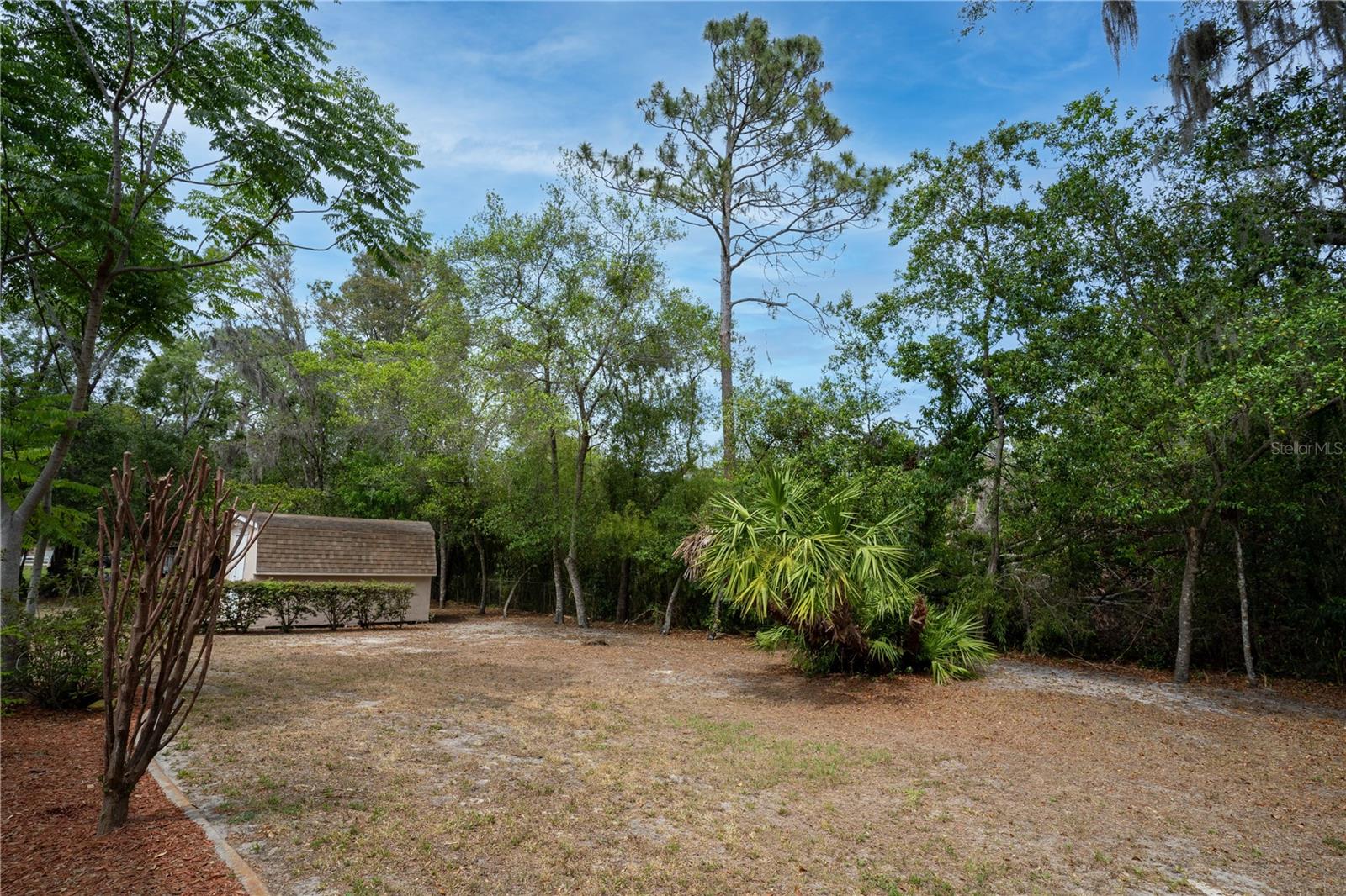 Listing photo id 45 for 18546 Kelly Road