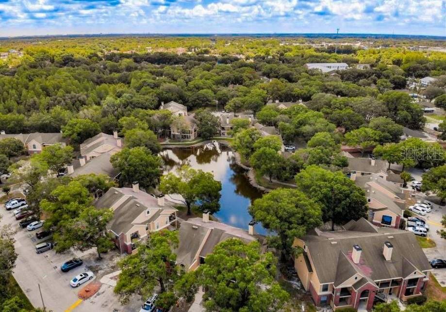 Details for 8633 Fancy Finch Drive 201, TAMPA, FL 33614