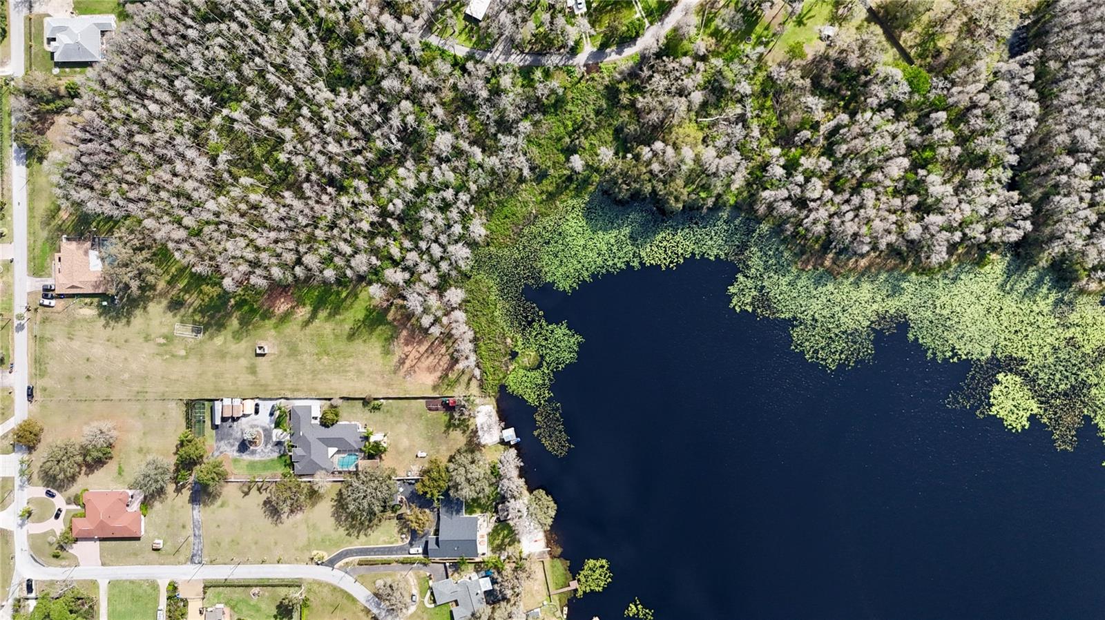 Image 7 of 12 For Auralee Acres Lot 3 Blount Road