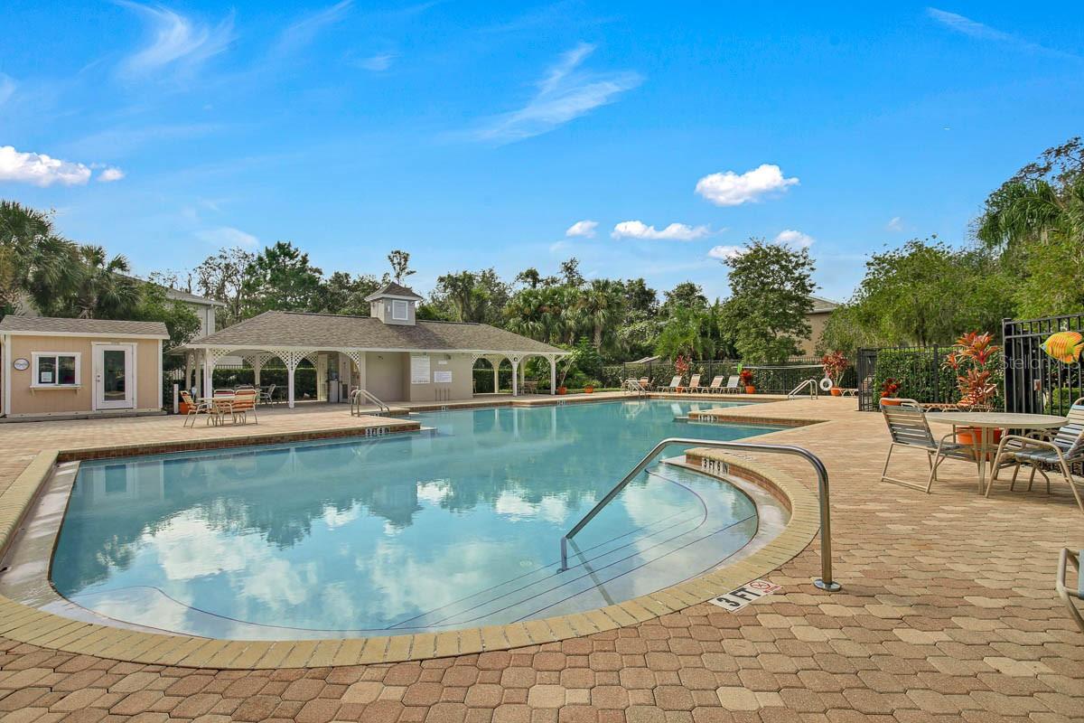 Image 31 of 43 For 15837 Fishhawk View Drive