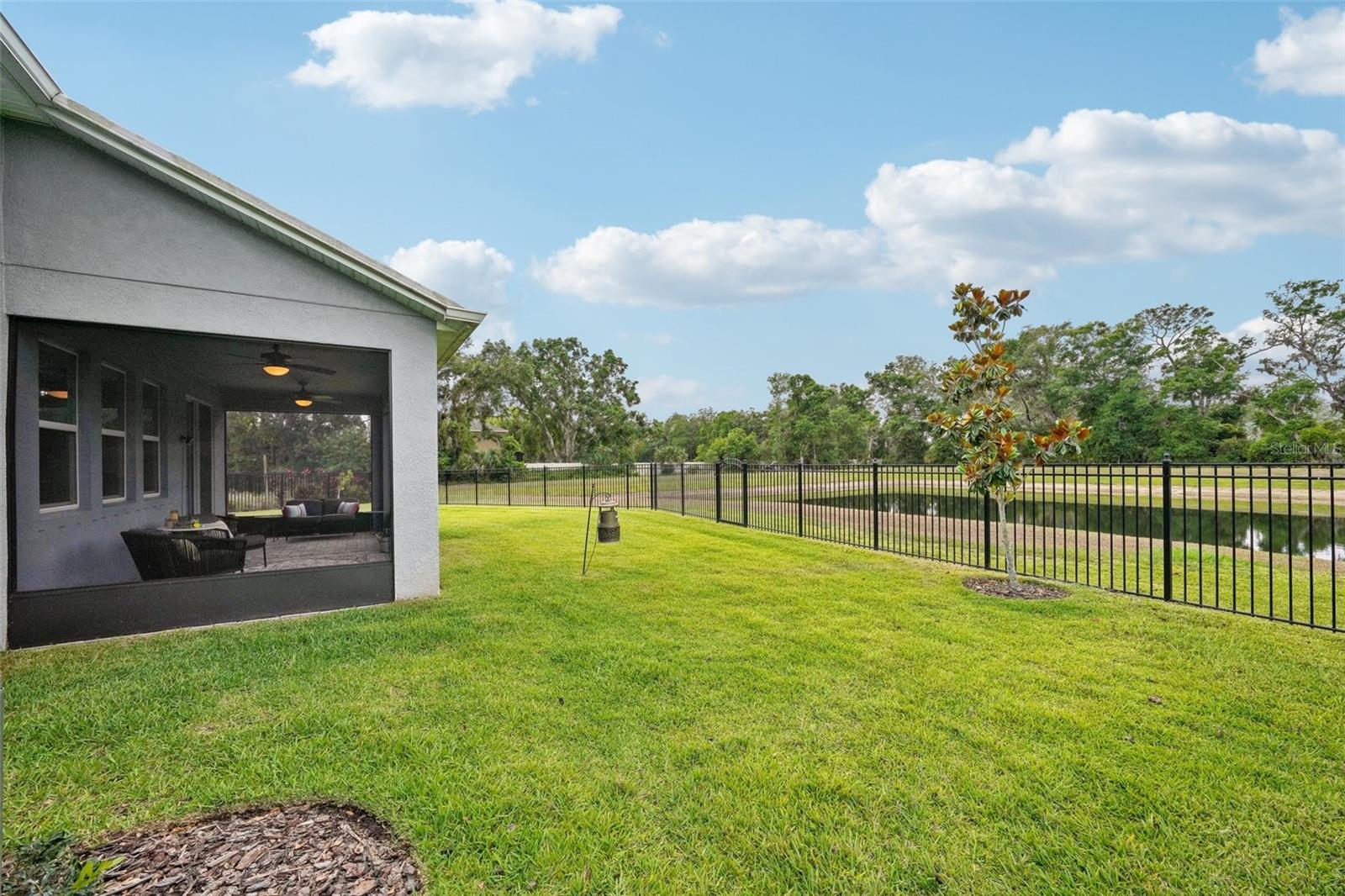 Listing photo id 35 for 10736 Whitland Grove Drive