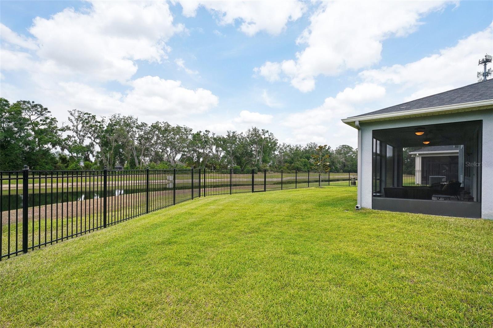 Listing photo id 38 for 10736 Whitland Grove Drive