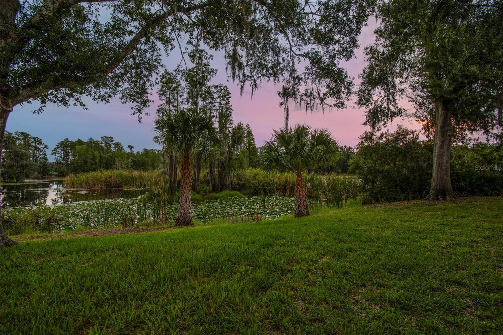 Image 48 of 49 For 21859 State Road 54