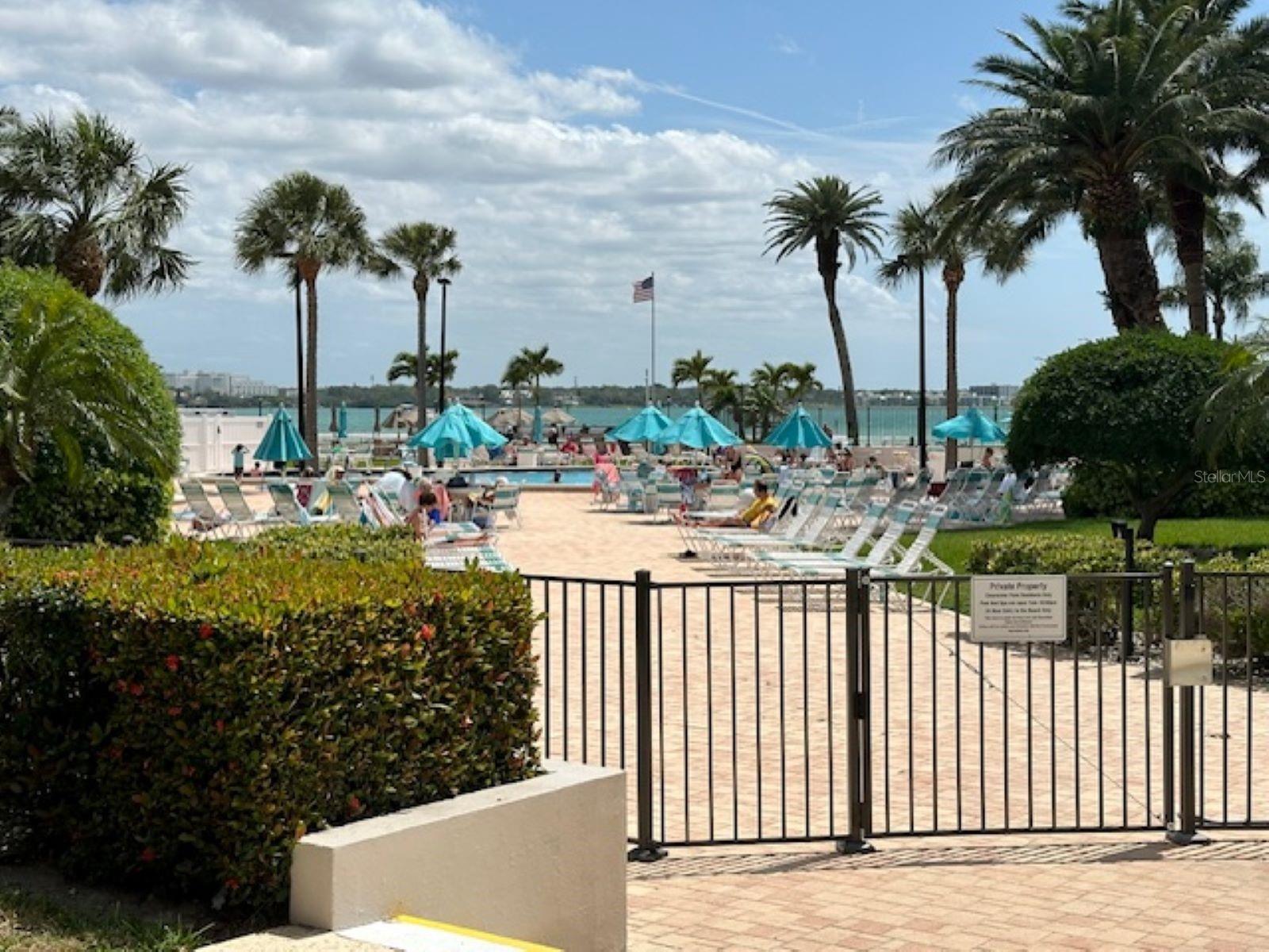Image 28 of 44 For 845 Gulfview Boulevard 107