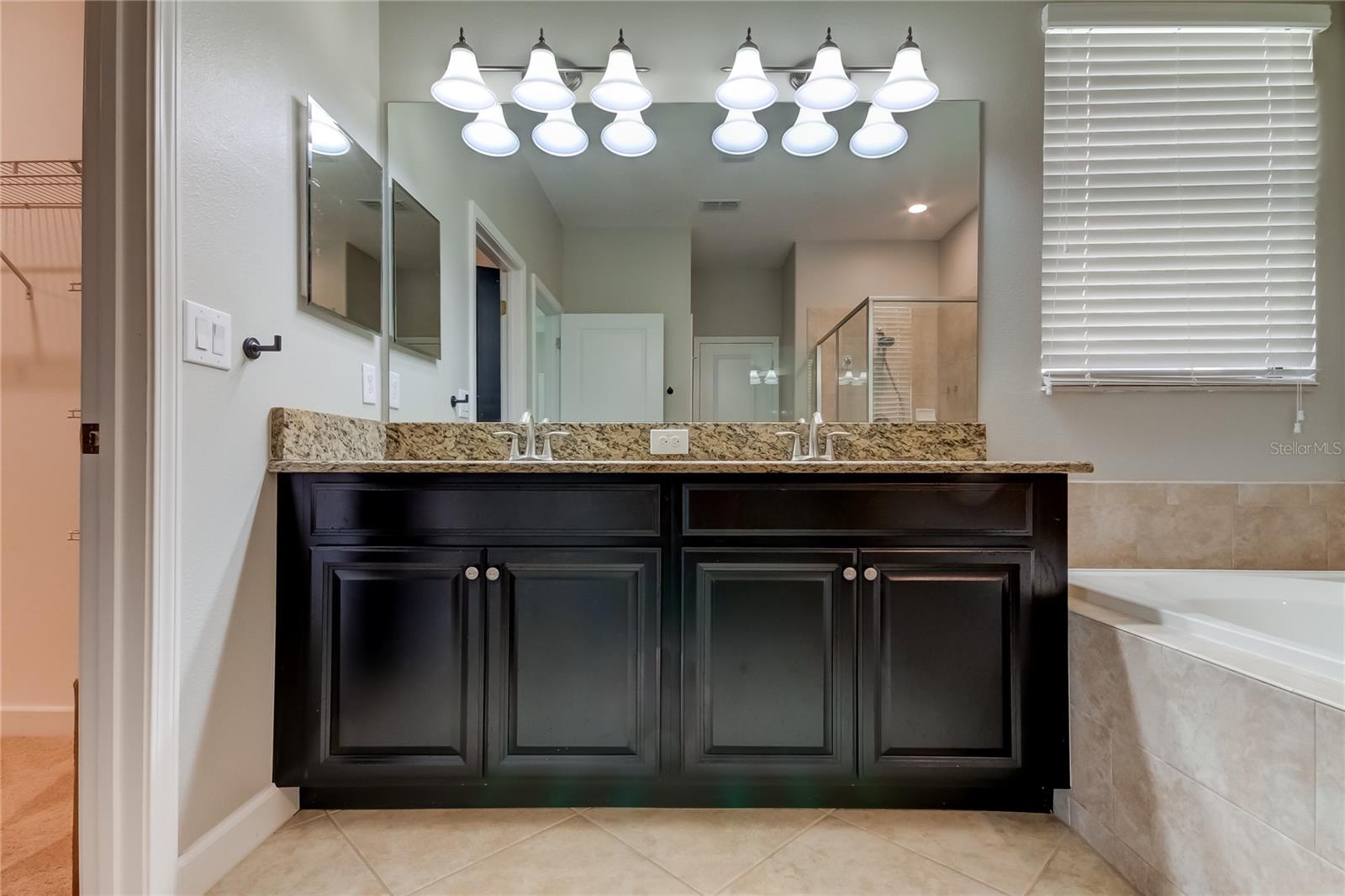 Image 19 of 22 For 11024 Little Blue Heron Drive