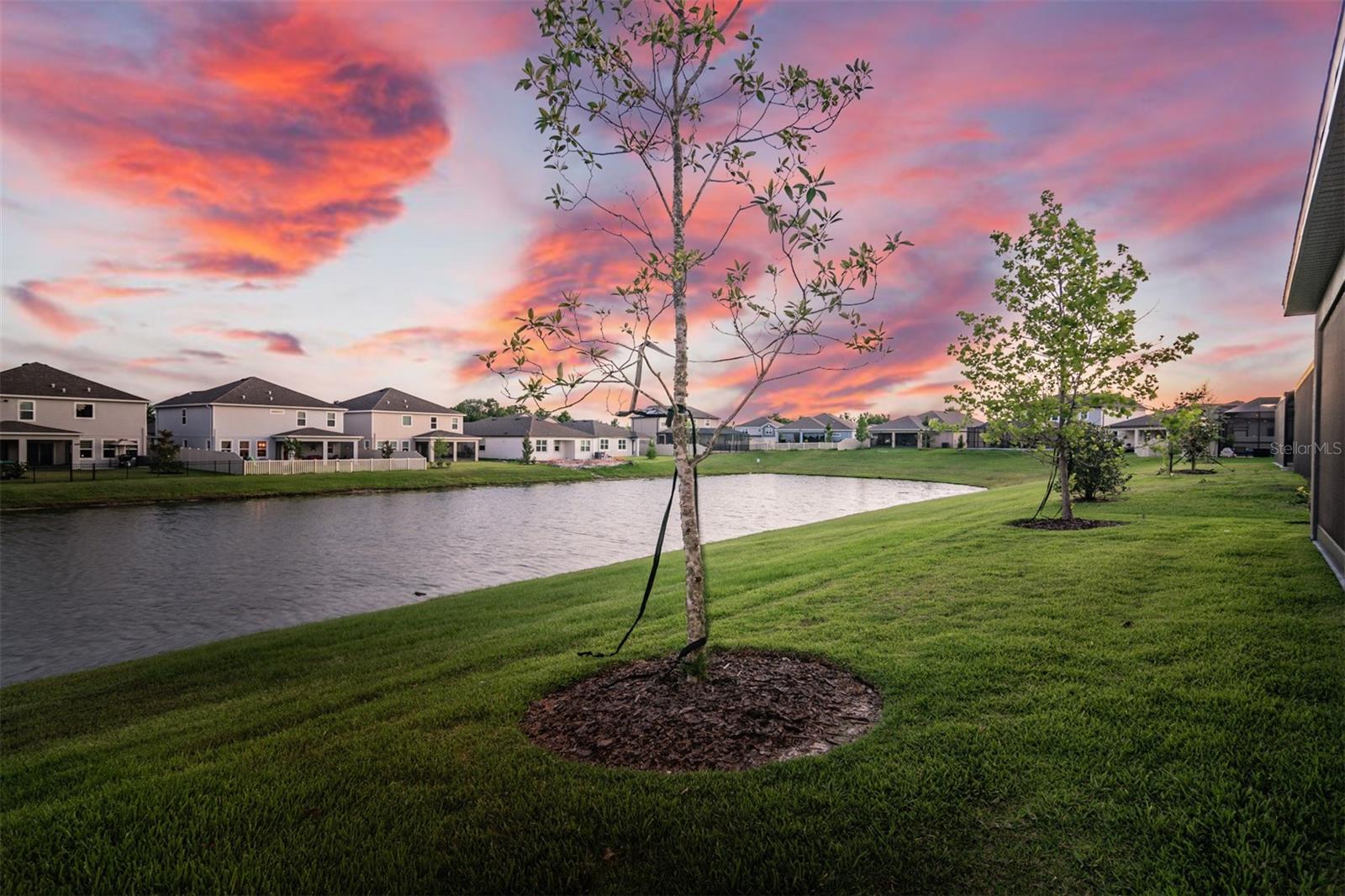 Image 6 of 100 For 30950 Parrot Reef Court