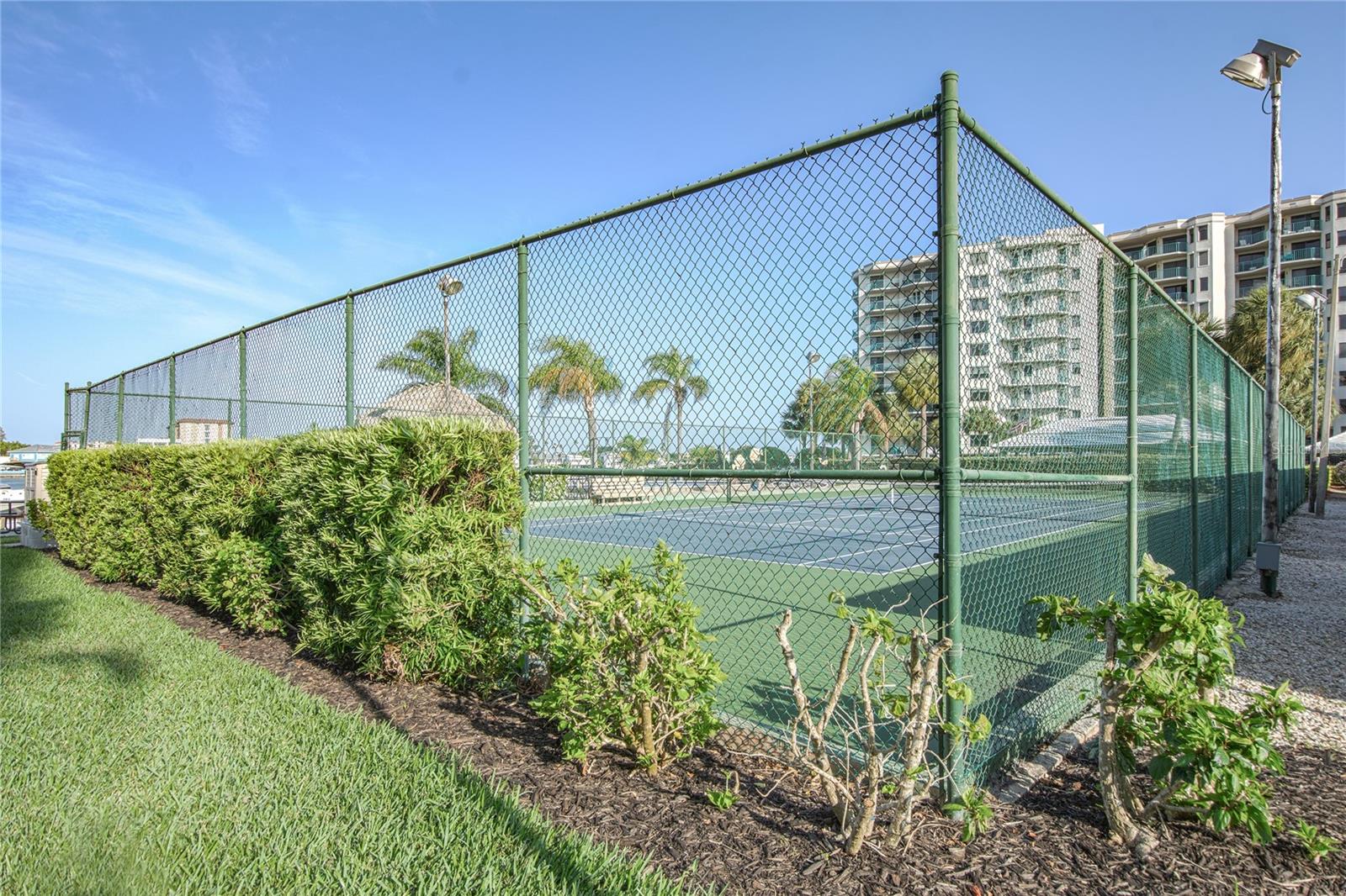 Image 54 of 62 For 660 Island Way #206  206