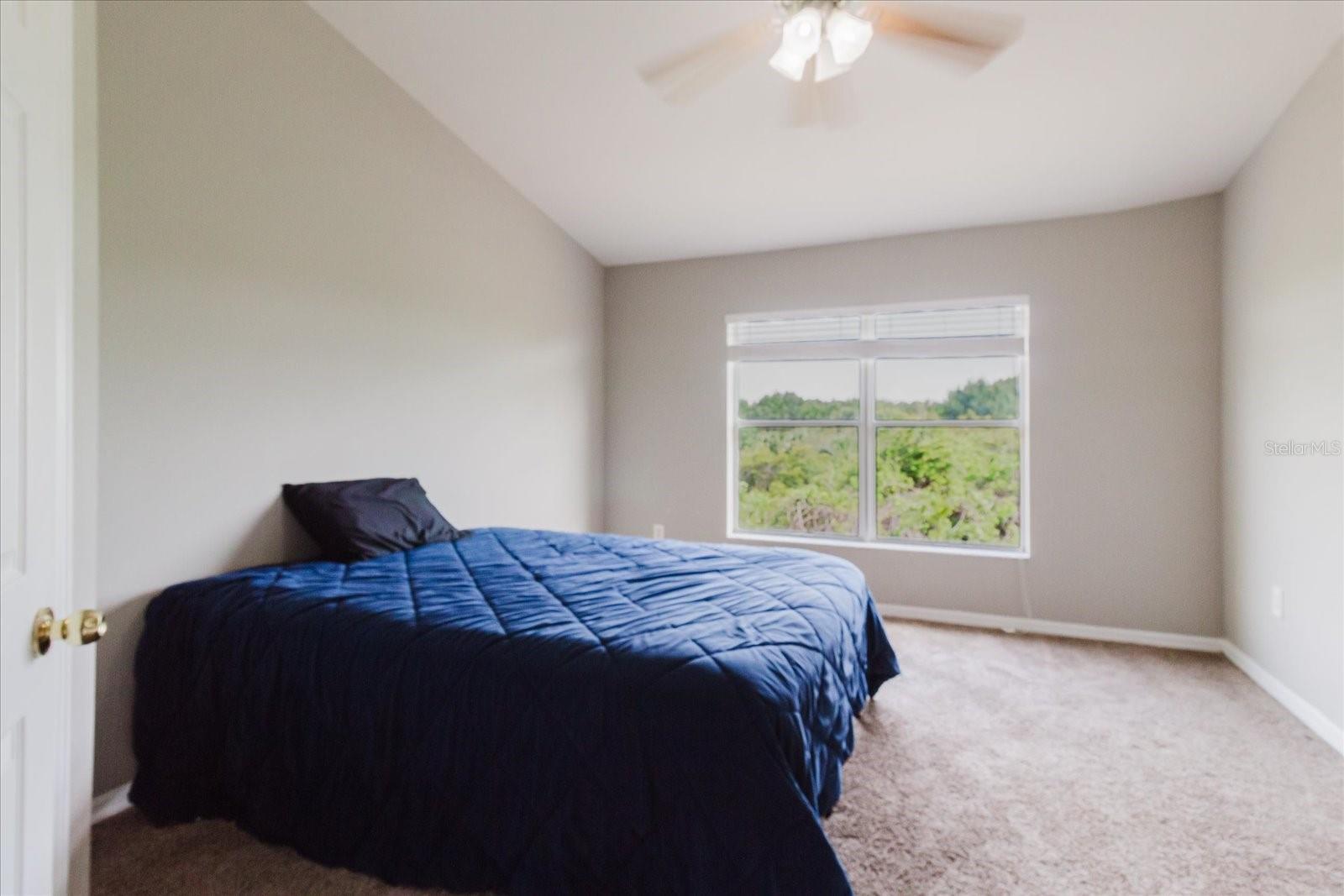 Listing photo id 39 for 6260 Olivedale Drive