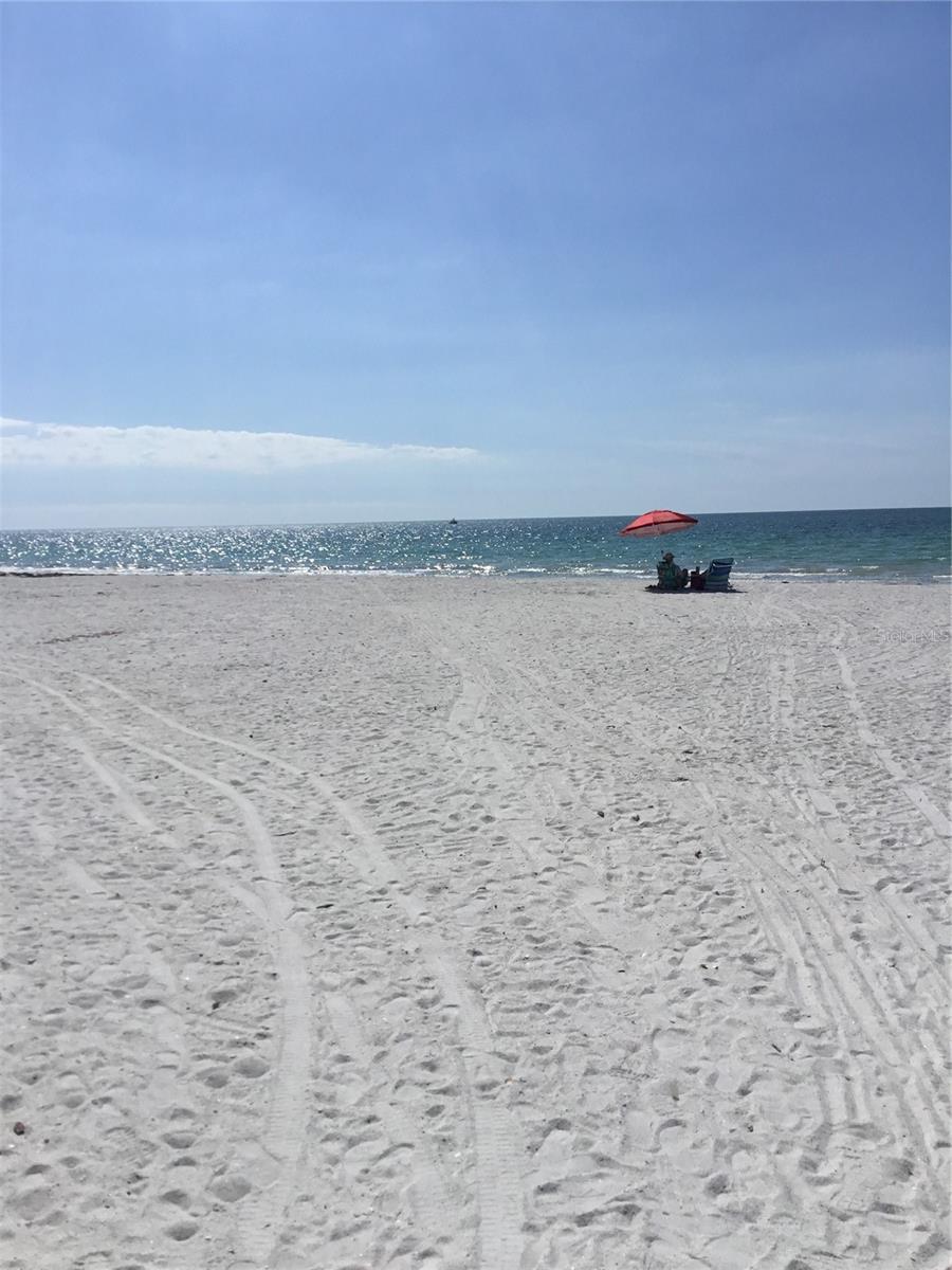 Image 39 of 51 For 1621 Gulf Boulevard 1604