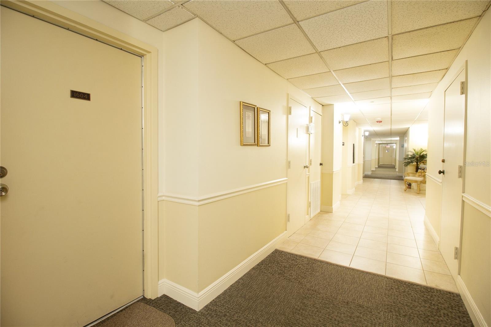 Image 8 of 51 For 1621 Gulf Boulevard 1604